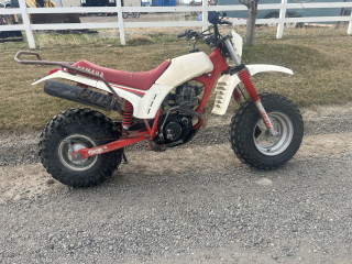 1988 YAMAHA BIG WHEEL