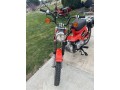 pristine-honda-110-dual-purpose-trail-bike-small-2