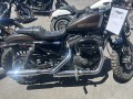 2019-harley-davidson-1200-small-1