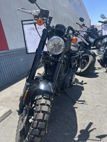 2019-harley-davidson-1200-big-2