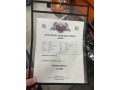 2010-harley-davidson-custom-street-glide-small-3