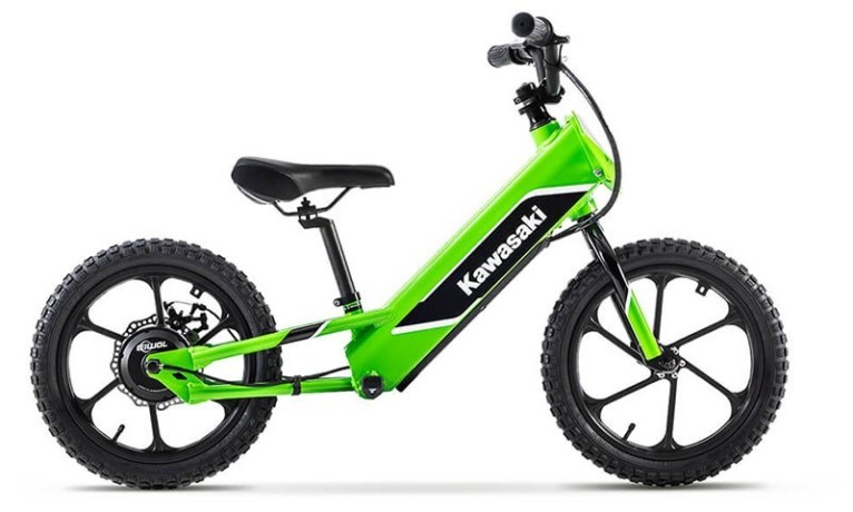 2023-kawasaki-elektrode-big-0